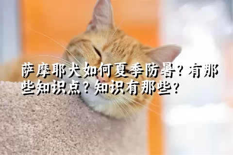 萨摩耶犬如何夏季防暑？有那些知识点？知识有那些？