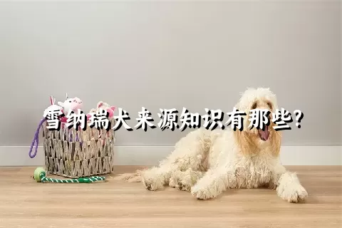 雪纳瑞犬来源知识有那些?