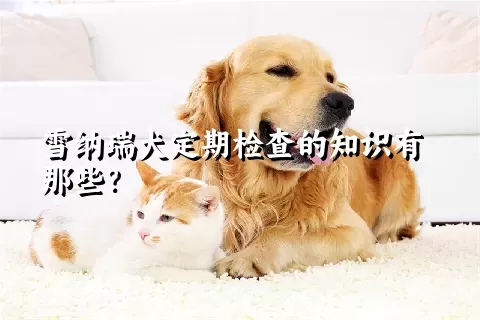 雪纳瑞犬定期检查的知识有那些？