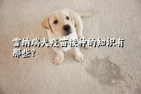 雪纳瑞犬疫苗接种的知识有那些？