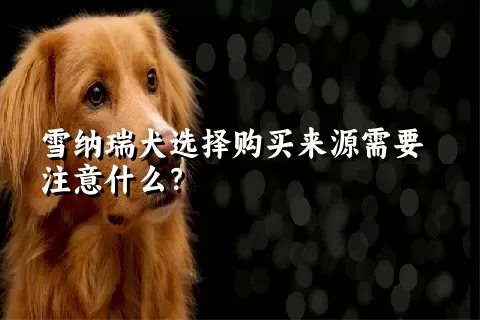 雪纳瑞犬选择购买来源需要注意什么？ 