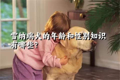 雪纳瑞犬的年龄和性别知识有哪些？