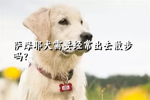 萨摩耶犬需要经常出去散步吗？