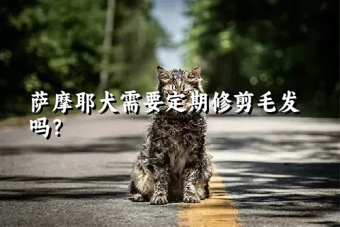 萨摩耶犬需要定期修剪毛发吗？