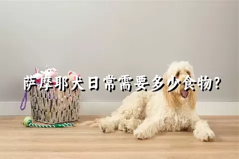 萨摩耶犬日常需要多少食物？