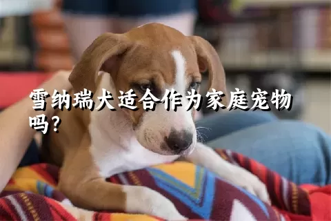 雪纳瑞犬适合作为家庭宠物吗？