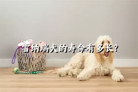 雪纳瑞犬的寿命有多长？