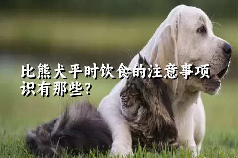 比熊犬平时饮食的注意事项识有那些？ 