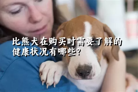 比熊犬在购买时需要了解的健康状况有哪些？