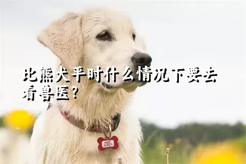 比熊犬平时什么情况下要去看兽医？ 