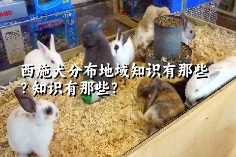 西施犬分布地域知识有那些？知识有那些？