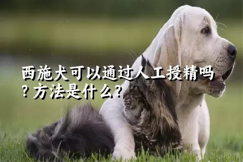 西施犬可以通过人工授精吗？方法是什么？