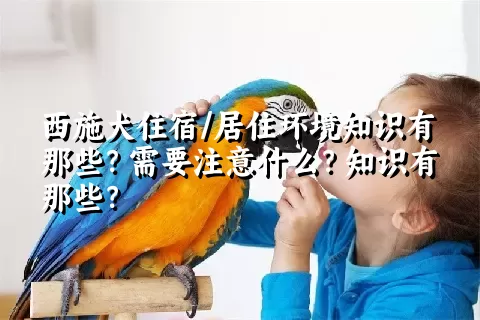 西施犬住宿/居住环境知识有那些？需要注意什么？知识有那些？