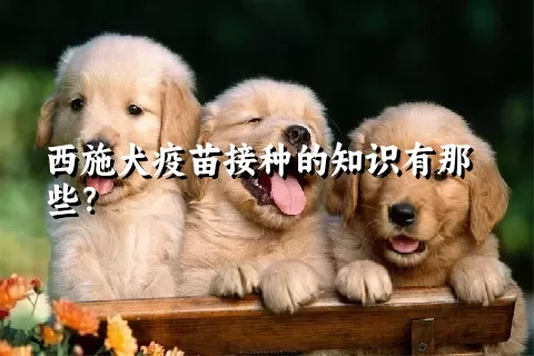 西施犬疫苗接种的知识有那些？