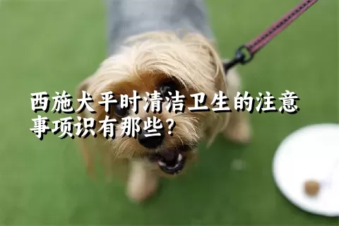 西施犬平时清洁卫生的注意事项识有那些？ 