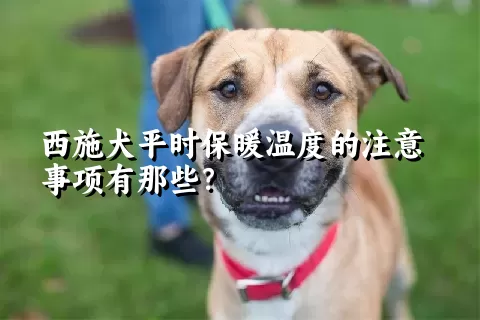 西施犬平时保暖温度的注意事项有那些？ 