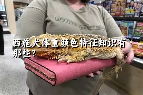 西施犬体重颜色特征知识有那些？