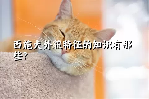 西施犬外貌特征的知识有那些？