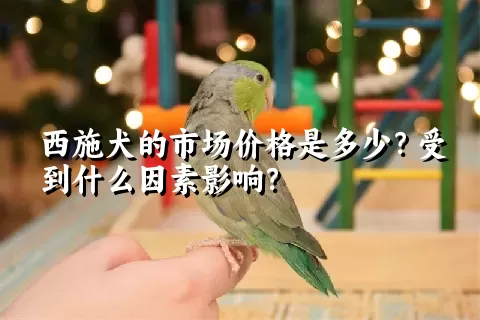 西施犬的市场价格是多少？受到什么因素影响？