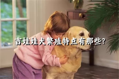 吉娃娃犬繁殖特点有那些？