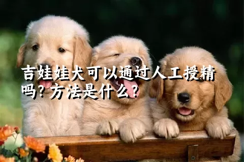 吉娃娃犬可以通过人工授精吗？方法是什么？