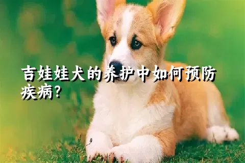 吉娃娃犬的养护中如何预防疾病？