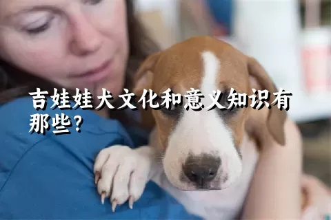 吉娃娃犬文化和意义知识有那些？