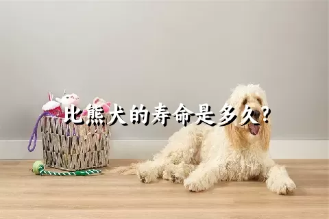 比熊犬的寿命是多久？