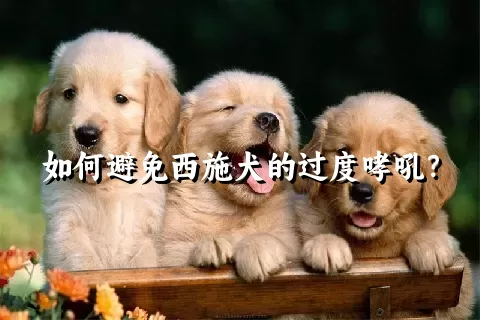 如何避免西施犬的过度哮吼？