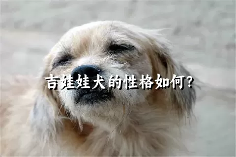 吉娃娃犬的性格如何？