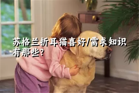 苏格兰折耳猫喜好/需求知识有那些？