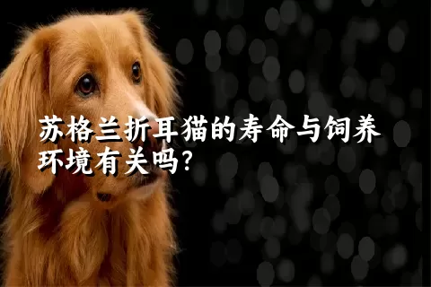 苏格兰折耳猫的寿命与饲养环境有关吗？