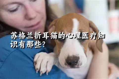 苏格兰折耳猫的心理医疗知识有那些？