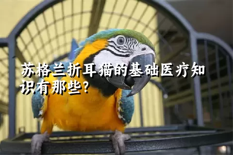 苏格兰折耳猫的基础医疗知识有那些？