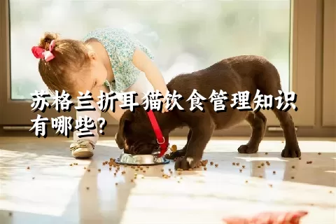 苏格兰折耳猫饮食管理知识有哪些？ 