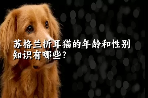 苏格兰折耳猫的年龄和性别知识有哪些？