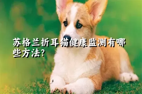 苏格兰折耳猫健康监测有哪些方法？