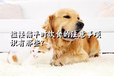 褴褛猫平时饮食的注意事项识有那些？ 