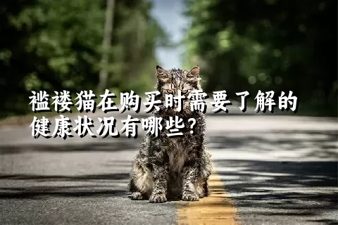 褴褛猫在购买时需要了解的健康状况有哪些？