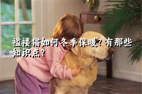 褴褛猫如何冬季保暖？有那些知识点？