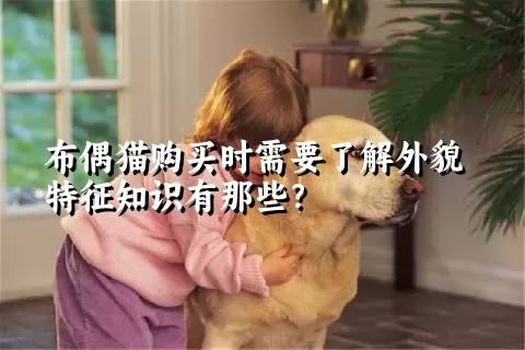 布偶猫购买时需要了解外貌特征知识有那些？  