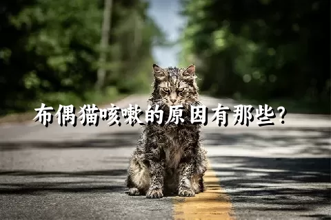 布偶猫咳嗽的原因有那些？ 