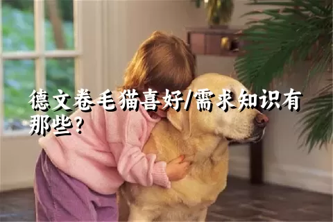 德文卷毛猫喜好/需求知识有那些？