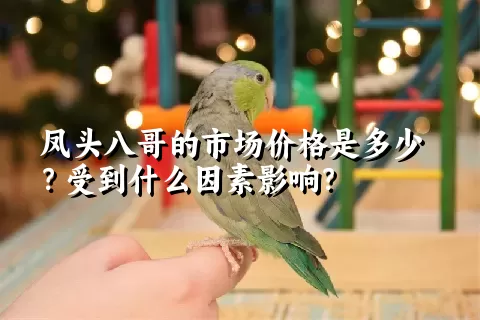 凤头八哥的市场价格是多少？受到什么因素影响？