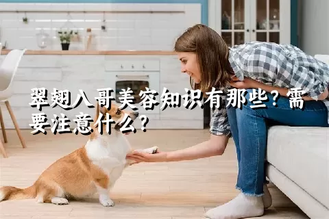 翠翅八哥美容知识有那些？需要注意什么？