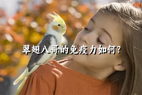 翠翅八哥的免疫力如何？