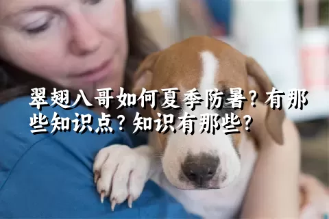 翠翅八哥如何夏季防暑？有那些知识点？知识有那些？