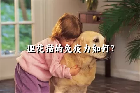 狸花猫的免疫力如何？