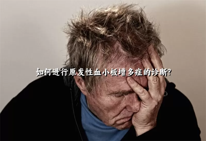 如何进行原发性血小板增多症的诊断?