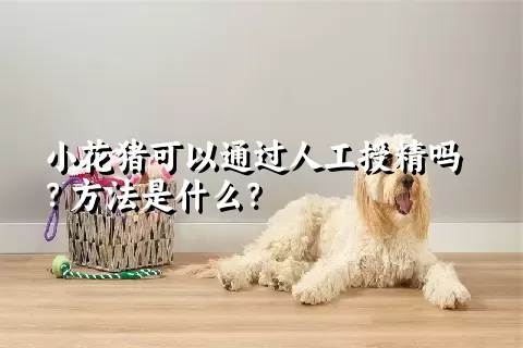 小花猪可以通过人工授精吗？方法是什么？